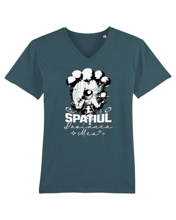 Astronaut - Spatiul pasiunea mea Stargazer