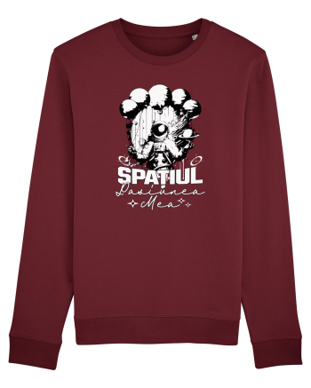 Astronaut - Spatiul pasiunea mea Burgundy