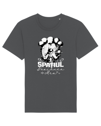 Astronaut - Spatiul pasiunea mea Anthracite