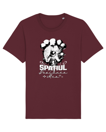 Astronaut - Spatiul pasiunea mea Burgundy