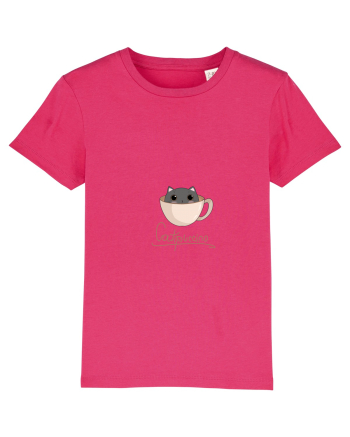 Pisică catppuccino  Raspberry