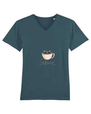 Pisică catppuccino  Stargazer