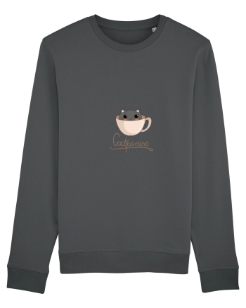 Pisică catppuccino  Anthracite
