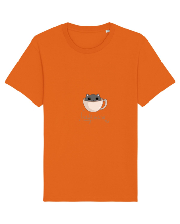 Pisică catppuccino  Bright Orange