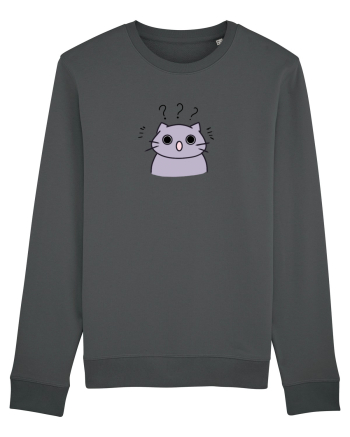 Surprised cat  Anthracite