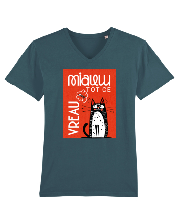 Cu pisici - Miau tot ce vreau  Stargazer