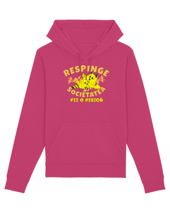 Atitudine de pisica Raspberry