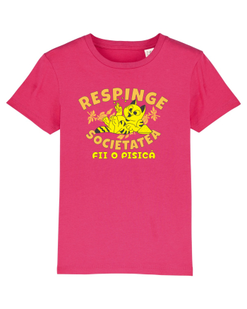 Atitudine de pisica Raspberry