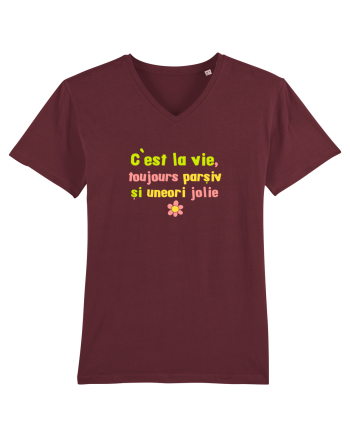 C`EST LA VIE, TOUJOURS PARSIVA - VIATA PARSIVA, UNEORI FRUMOASA Burgundy