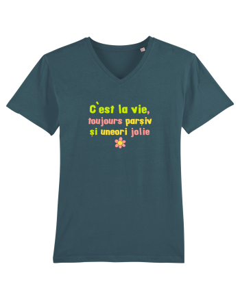 C`EST LA VIE, TOUJOURS PARSIVA - VIATA PARSIVA, UNEORI FRUMOASA Stargazer