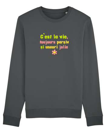 C`EST LA VIE, TOUJOURS PARSIVA - VIATA PARSIVA, UNEORI FRUMOASA Anthracite
