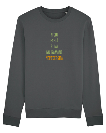 NICIO FAPTA BUNA NU RAMANE NEPEDEPSITA 2 Anthracite