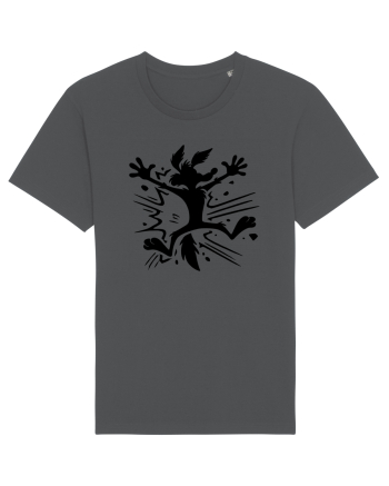  COIOTUL 2 Anthracite