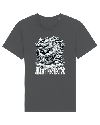 Dragon- silent protector Anthracite