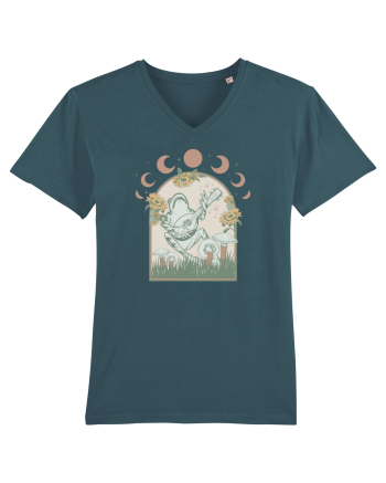 Cottagecore - frog Stargazer