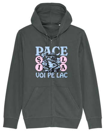 Pace pe lac Anthracite