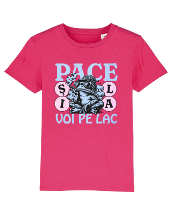 Pace pe lac Raspberry