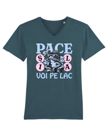 Pace pe lac Stargazer