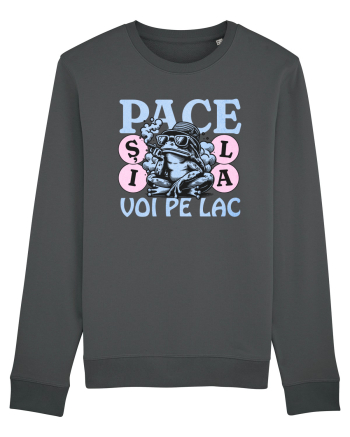 Pace pe lac Anthracite