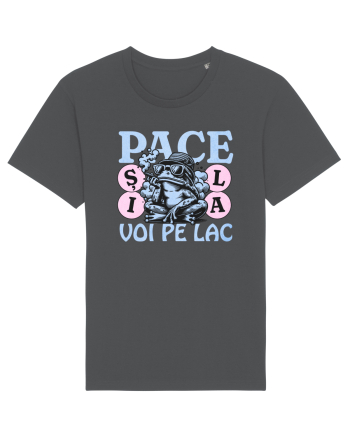 Pace pe lac Anthracite