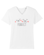 Cu pisici - purrfect Tricou mânecă scurtă guler V Bărbat Presenter