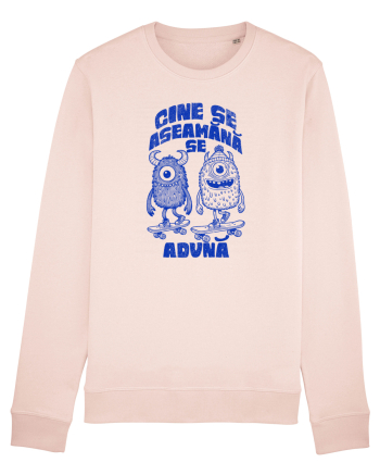 Prietenii skateboard monstri- cine se aseamănă se adună  Candy Pink