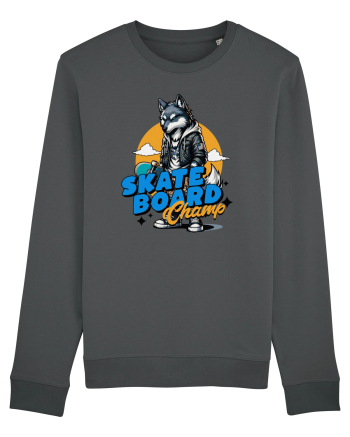Skateboard champ Anthracite
