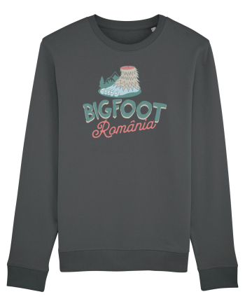 Bigfoot Romania  Anthracite
