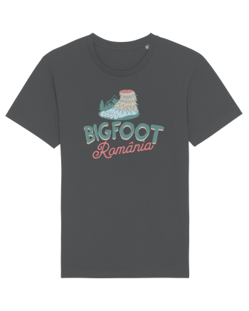 Bigfoot Romania  Anthracite