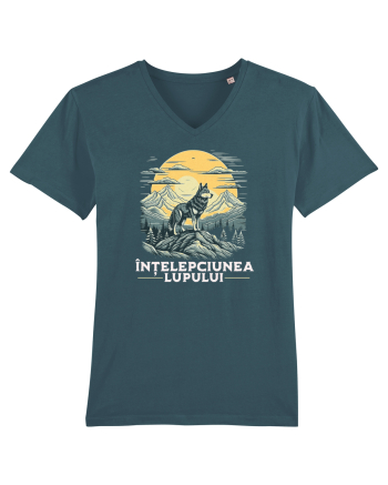Înțelepciunea lupului  Stargazer