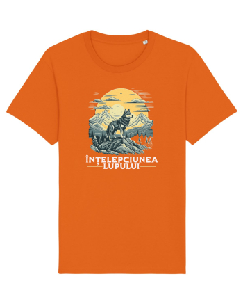 Înțelepciunea lupului  Bright Orange