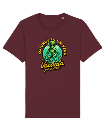 Extraterestru in vacanță  Burgundy