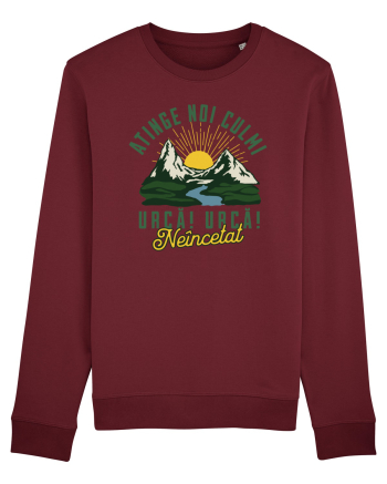 Mesaj motivațional  Burgundy