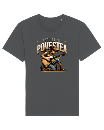 Chitarista - Asculta-mi povestea Anthracite