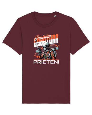 Pastram legatura prieteni - Un extraterestru prietenos Burgundy