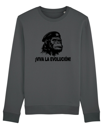 VIVA LA EVOLUCION - CHE GUEVARA - CIMPANZEU 2 Anthracite