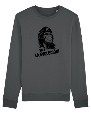VIVA LA EVOLUCION - CHE GUEVARA - CIMPANZEU 5 Anthracite