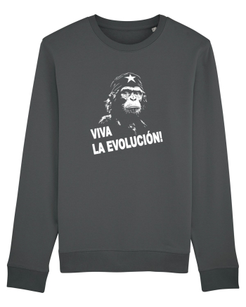VIVA LA EVOLUCION - CHE GUEVARA - CIMPANZEU 9 Anthracite