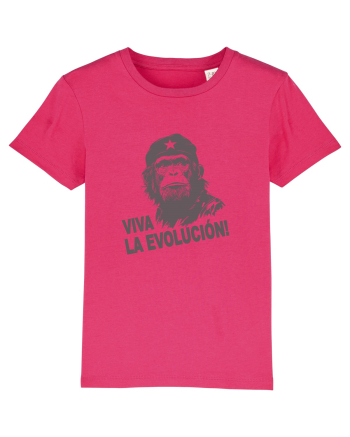 VIVA LA EVOLUCION - CHE GUEVARA - CIMPANZEU 12 Raspberry