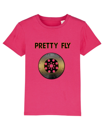 Fly Raspberry