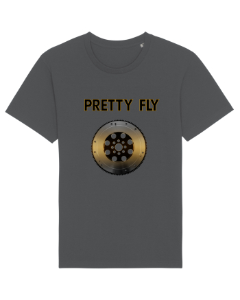 Fly Anthracite