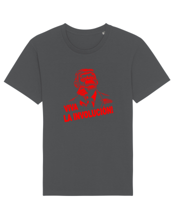 VIVA LA INVOLUCION - CHE GUEVARA - CIMPANZEU - trump A Anthracite