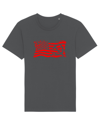 AMERICA - RUSIA Anthracite