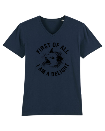 I am a delight French Navy