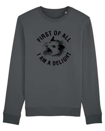 I am a delight Anthracite