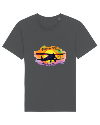 Vintage Wings - Modern Dreams BLTP14-03 Anthracite