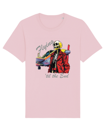 Vintage Wings - Flying 'til the end - grey BLTP1-03 Cotton Pink
