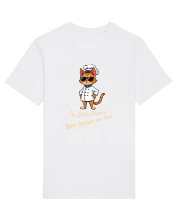 Stylish chef cat, culinary cool White