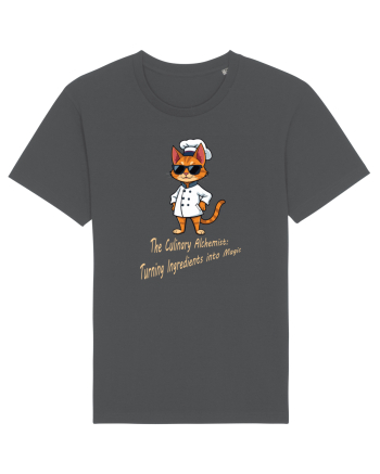 Stylish chef cat, culinary cool Anthracite