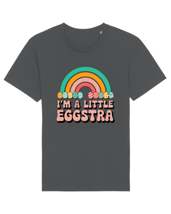 I'm A Little Eggstra Anthracite